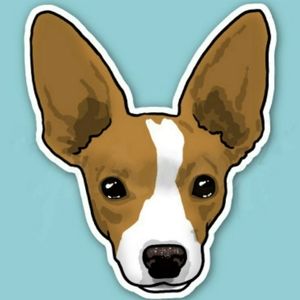 Meet your Posher, Hillary